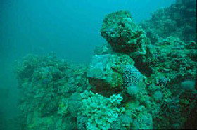 Adelaide's Underwater Heritage Trail - Accommodation Cooktown 0