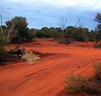 Tallaringa Conservation Park - Accommodation Cooktown