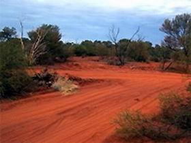 Tallaringa Conservation Park - Accommodation Cooktown 0