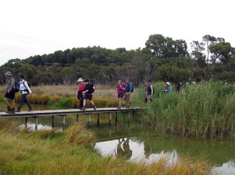 Lavender Federation Trail - Accommodation Cooktown 1