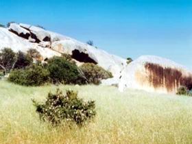 Ucontitchie Hill - Accommodation Cooktown 0