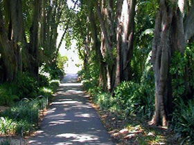 Adelaide Botanic Garden - Accommodation Cooktown 0