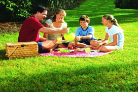  Accommodation Cooktown