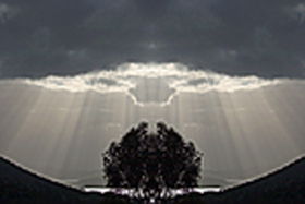 Aart. Gallery Of Fine Art - Accommodation Cooktown 0