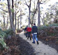 Bridport Walking Track - Accommodation Cooktown