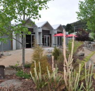 Tin Dragon Interpretation Centre and Cafe - Accommodation Cooktown