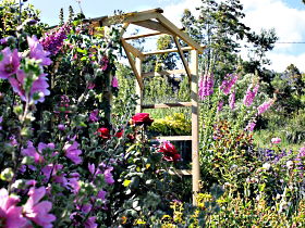 Thelma Retreat Garden And Teahouse - Accommodation Cooktown 0