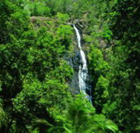 Kondalilla National Park - Accommodation Cooktown