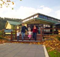 Australian Axeman's Hall of Fame - Accommodation Cooktown