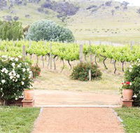 Brindabella Hills Winery - Accommodation Cooktown
