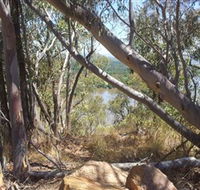 Black Mountain - Accommodation Cooktown