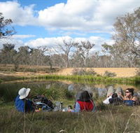 Canberra Nature Park - Accommodation Cooktown
