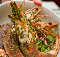 Bicicletta - Accommodation Cooktown