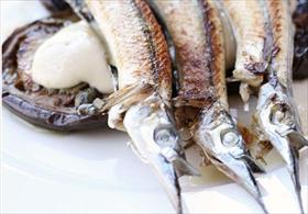 Capitol Hill ACT Accommodation Cooktown