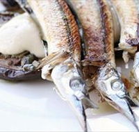 Pulp Kitchen - Accommodation Cooktown