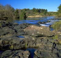 Pine Island to Point Hut Reserve - Accommodation Cooktown