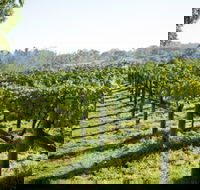 Surveyor's Hill Vineyards - Accommodation Cooktown