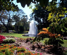 Book Darwin NT Attractions Accommodation Cooktown Accommodation Cooktown