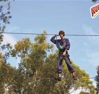 Adventure Parc at Currumbin Wildlife Sanctuary - Accommodation Cooktown