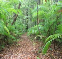 Delicia Road Conservation Park - Accommodation Cooktown