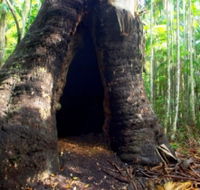 Tewantin National Park - Accommodation Cooktown