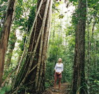 Wet Tropics - Accommodation Cooktown