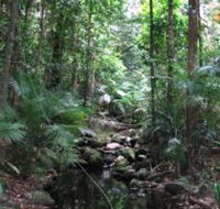 Mossman Gorge Rainforest Circuit Track Daintree National Park - Accommodation Cooktown