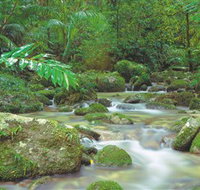 Mossman Gorge Daintree National Park - Accommodation Cooktown