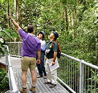 Daintree Discovery Centre - Accommodation Cooktown