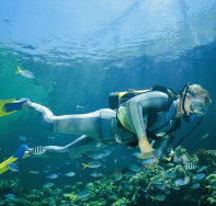 Tijou Reef