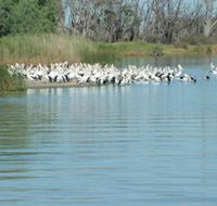 Lake Ross - Accommodation Cooktown