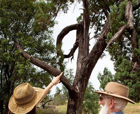 Charleville - Outback Native Timber Walk - Accommodation Cooktown 0