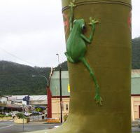 Golden Gumboot - Accommodation Cooktown