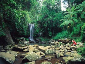 Tamborine National Park - Accommodation Cooktown 0