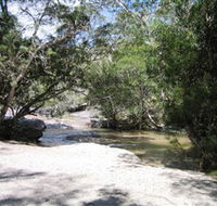 Davies Creek National Park and Dinden National Park - Accommodation Cooktown