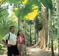 Licuala State Forest - Accommodation Cooktown