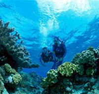 Coral Gardens Dive Site - Accommodation Cooktown