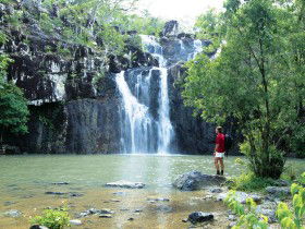 Conway National Park - Accommodation Cooktown 0