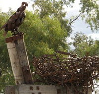 Blackall Sculpture Trail - Accommodation Cooktown