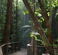 Basin Lake Track - Accommodation Cooktown