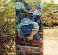 Alpha Murals - Accommodation Cooktown