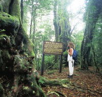 Tooloona Creek circuit