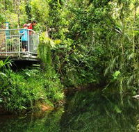 Djiru National Park - Accommodation Cooktown