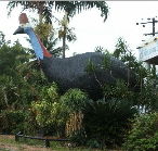 The Big Cassowary - Accommodation Cooktown