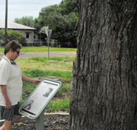 Augathella Kenniff Tree - Accommodation Cooktown
