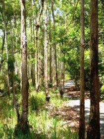 Hallorans Hill - Accommodation Cooktown 0