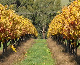 Wild Dog Winery & Restaurant - Accommodation Cooktown 0