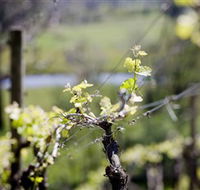 Norton Estate Wines - Accommodation Cooktown