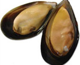 Sea Bounty - Accommodation Cooktown 0