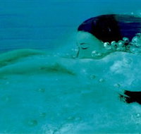 Muse - Accommodation Cooktown